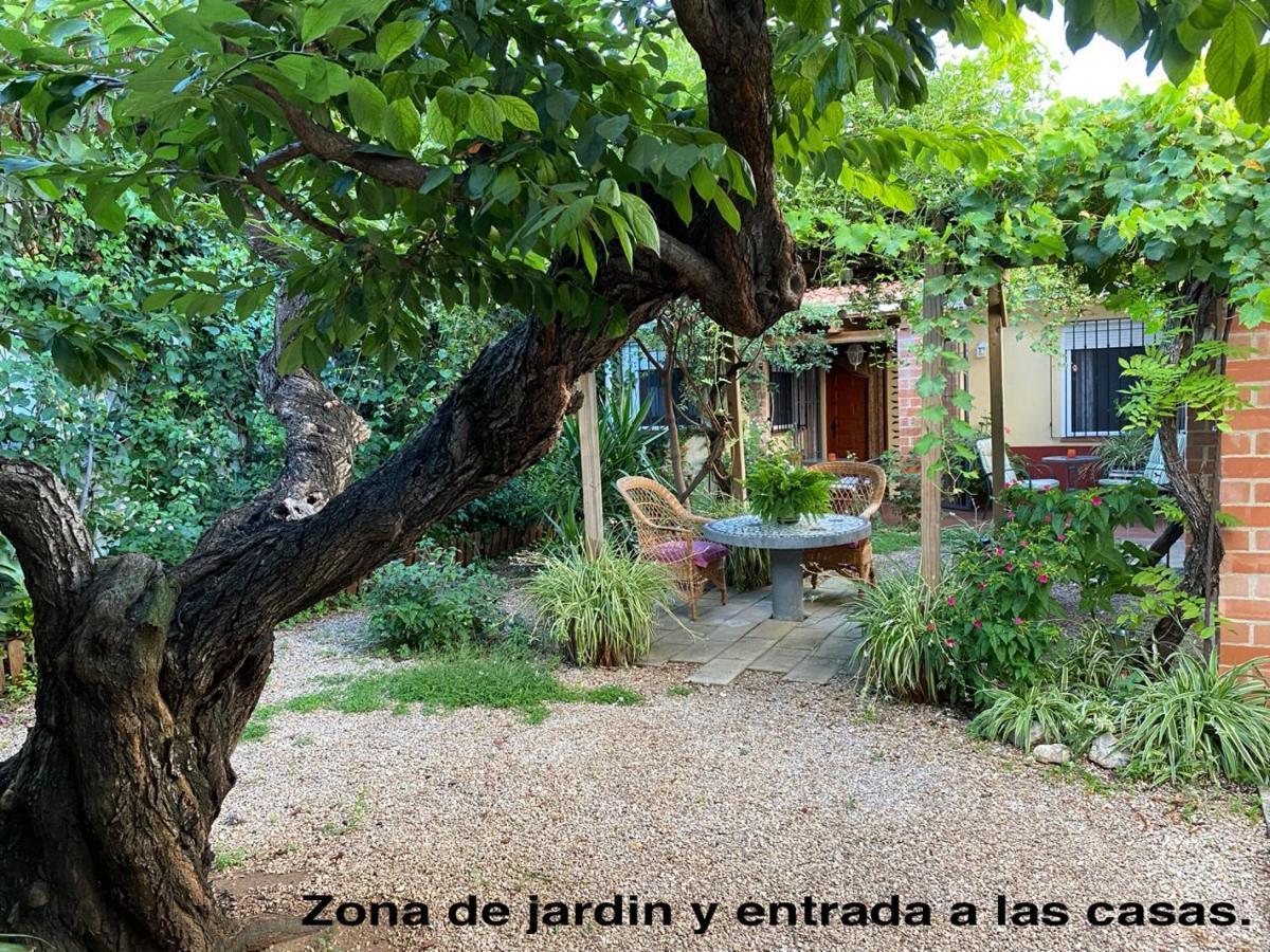 La Casa Rural De Carlos Playa de Gandia Εξωτερικό φωτογραφία